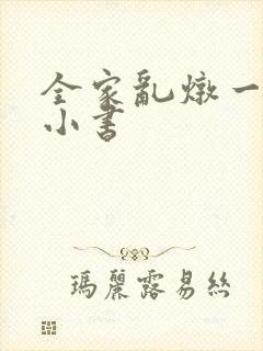 全家乱炖一锅烩小书