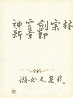 神霄剑宗林枫最新章节