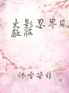 火影忍界风暴无敌版