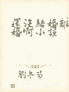 还没结婚离什么婚啊小说