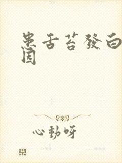 患舌苔发白的原因