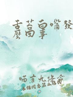 舌苔白嘴发苦怎么回事