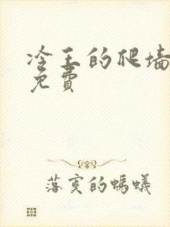 冷王的爬墙丑妃免费