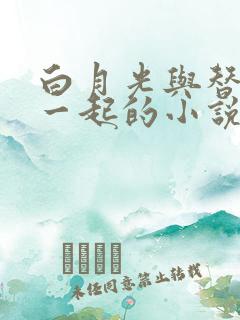 白月光与替身在一起的小说双男主