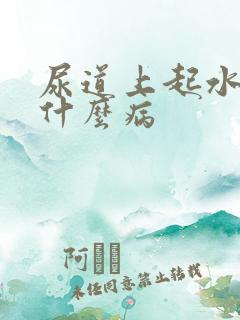 尿道上起水泡是什么病