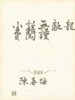 小说无敌龙帅免费阅读