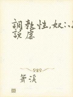 调教性,奴:小说虐