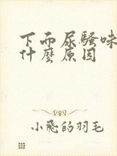 下面尿骚味重是什么原因