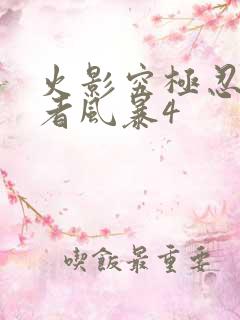 火影究极忍者忍者风暴4