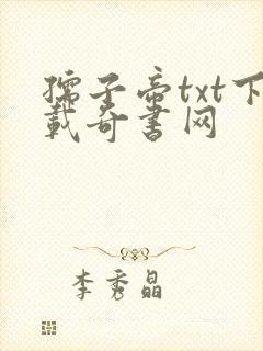 孺子帝txt下载奇书网