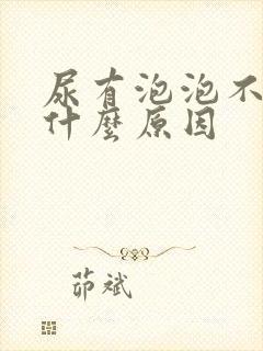 尿有泡泡不散是什么原因