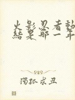 火影忍者动画完结是哪一年