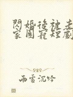 闪婚后被老公全家团宠短剧热播