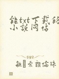 能txt下载的小说网站