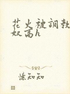 花火被调教成肉奴高h