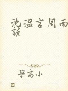 沈温言周南枝小说