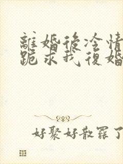 离婚后冷情前夫跪求我复婚商赫全文小说