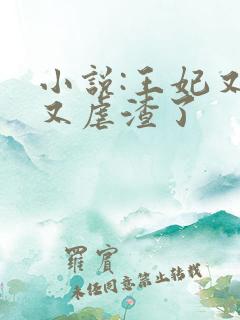 小说:王妃又又又虐渣了