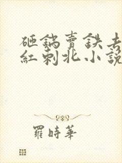 砸锅卖铁去上学红刺北小说听书免费