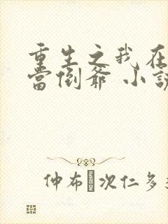 重生之我在末世当倒爷 小说