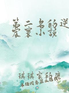 第二名的逆袭羽宸寰小说