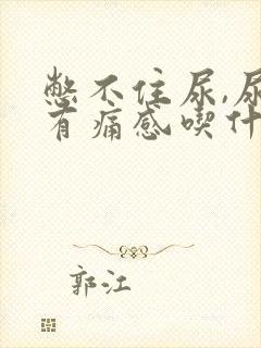 憋不住尿,尿道有痛感吃什么药