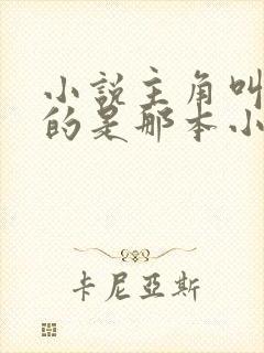 小说主角叫陈凡的是那本小说