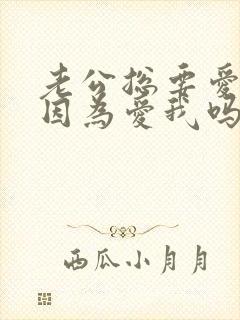 老公总要爱爱是因为爱我吗