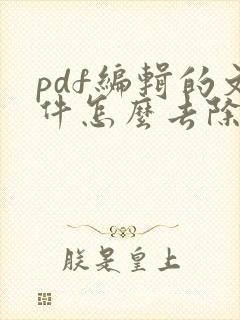 pdf编辑的文件怎么去除水印