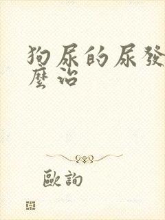 狗尿的尿发黄怎么治