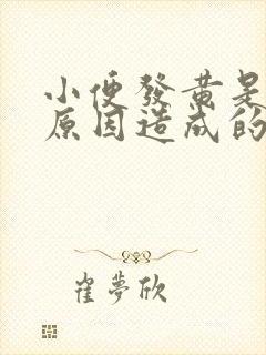 小便发黄是什么原因造成的