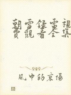 朝雪录电视剧免费观看全集在线播放