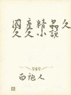 国产精品久久久久久小说