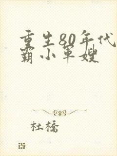 重生80年代学霸小军嫂