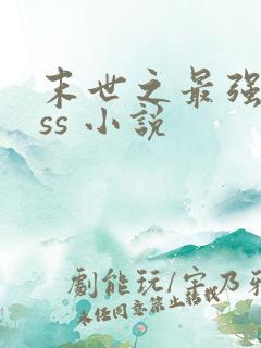 末世之最强boss 小说