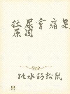 拉尿会痛是什么原因