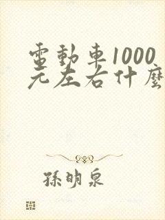 电动车1000元左右什么牌子好