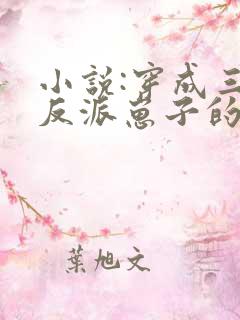 小说:穿成三个反派崽子的后娘怎么办