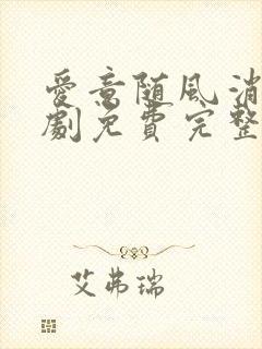 爱意随风消逝短剧免费完整版