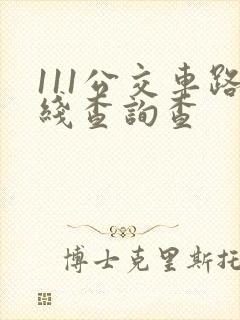 111公交车路线查询查