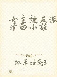 女主被反派毁了清白小说