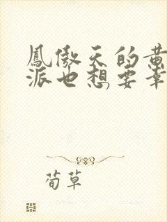 凤傲天的黄毛反派也想要幸福