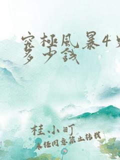 究极风暴4史低多少钱