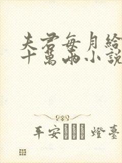 夫君每月给我二十万两小说阅读免费