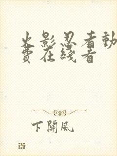 火影忍者动漫免费在线看