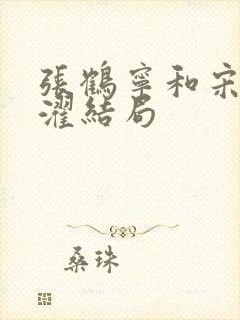 张鹤宁和宋禧京濯结局