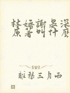 林妩谢晏深小说原著叫什么名字