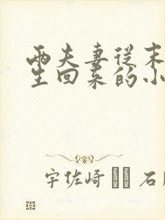 两夫妻从末世重生回来的小说