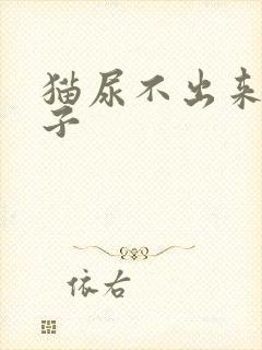 猫尿不出来拉肚子