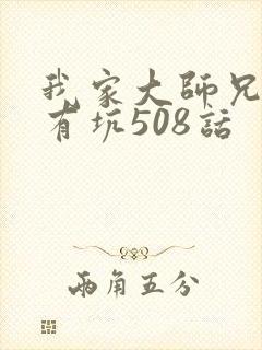 我家大师兄脑子有坑508话
